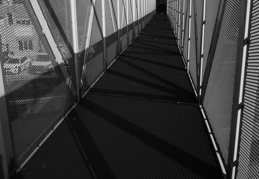 20241005-Amsterdam-166