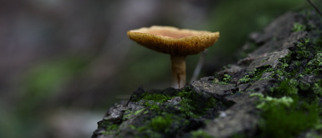 20241006-Paddo-101