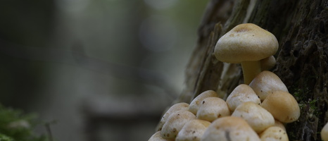 20241006-Paddo-109