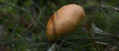 20241006-Paddo-112