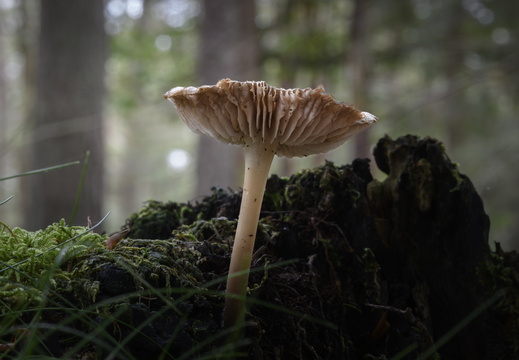 20241006-Paddo-116