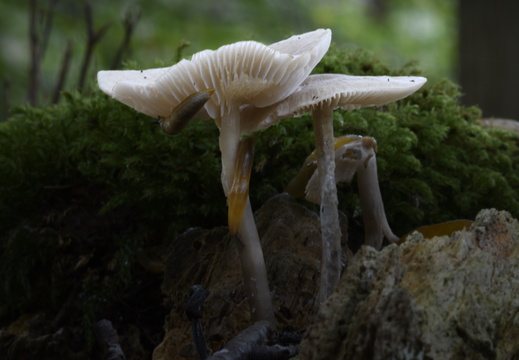 20241006-Paddo-117