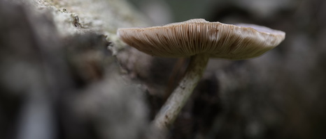 20241006-Paddo-121