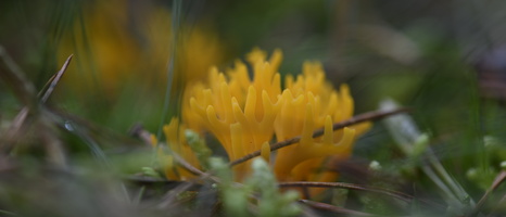 20241006-Paddo-136