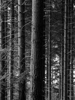 20241006-Paddo-140