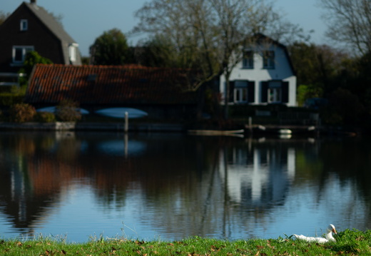 20241103-Loenen-110