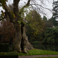 20241110-Loenen-103