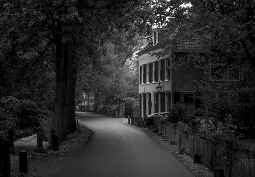 20241110-Loenen-106