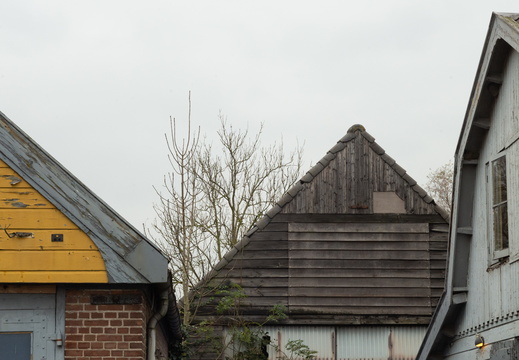 20241110-Loenen-110