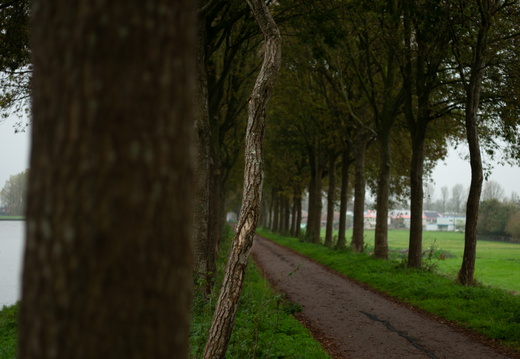20241110-Loenen-116