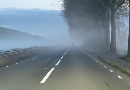 20250313-Vechtstreek-101