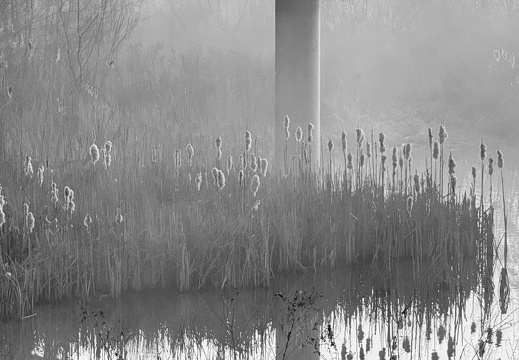 20250313-Vechtstreek-115