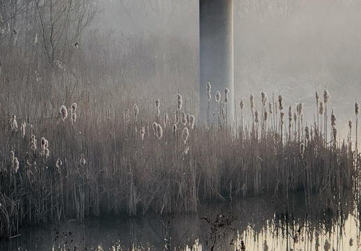 20250313-Vechtstreek-116