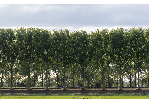 20250821-Fietsen-101
