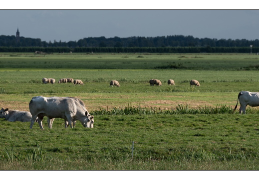 20250821-Fietsen-104