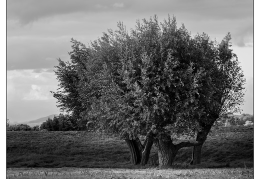 20250821-Fietsen-105