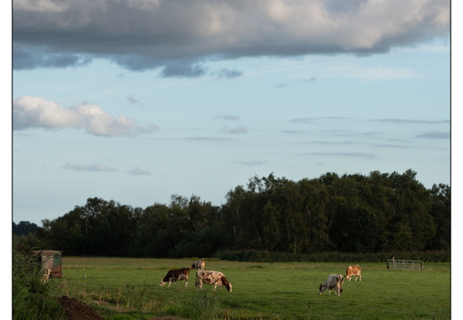 20250821-Fietsen-109