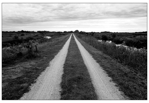 20250826-Fietsen-103