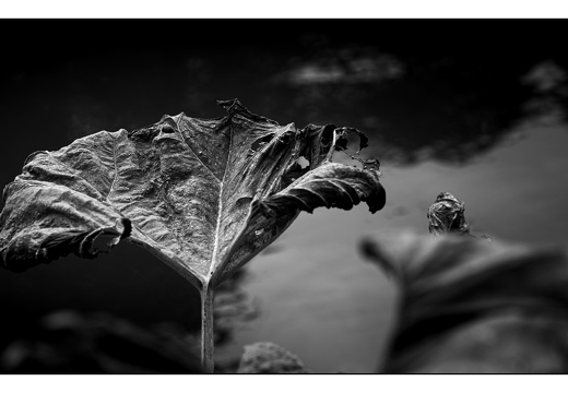 20250828-Fietsen-103