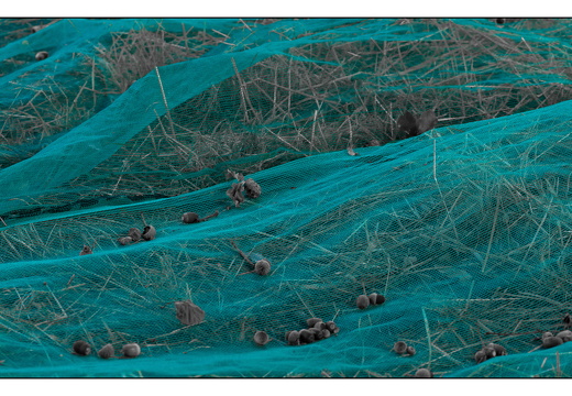 20250828-Fietsen-110