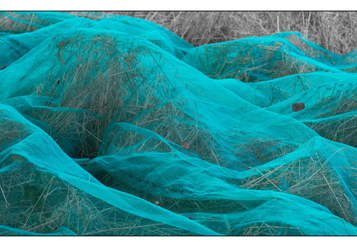 20250828-Fietsen-111