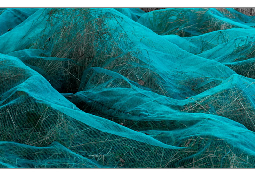 20250828-Fietsen-112