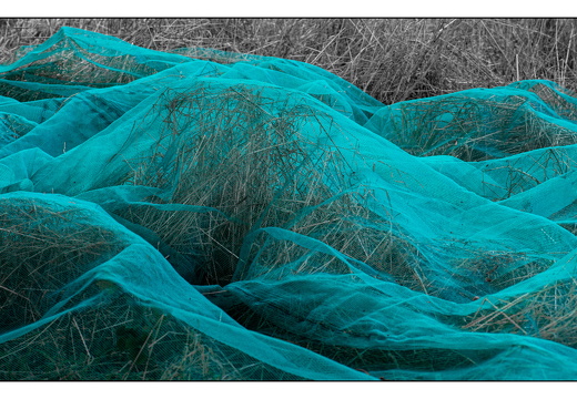 20250828-Fietsen-113