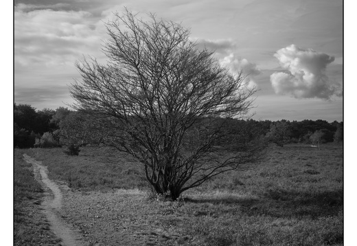 20251018-Fietsen-103