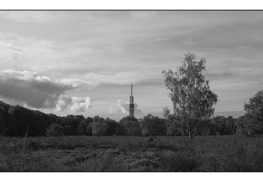 20251018-Fietsen-106
