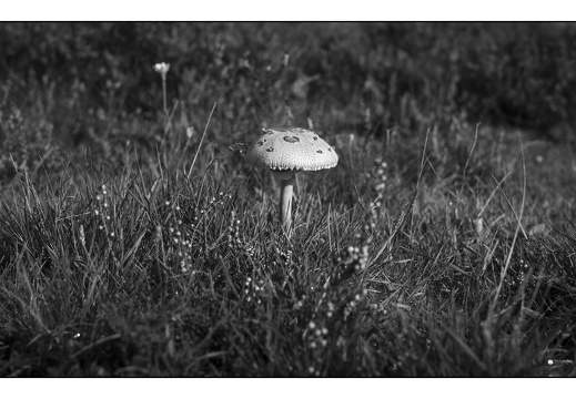 20251018-Fietsen-107
