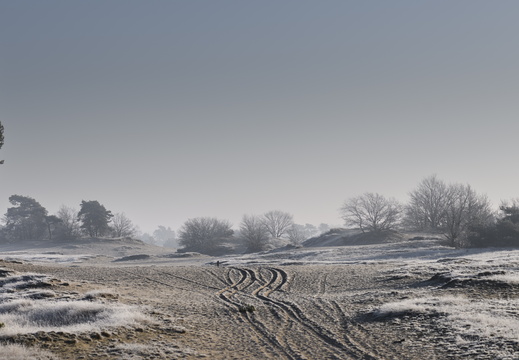 20250201-Kootwijkerzand-106