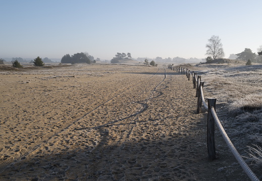 20250201-Kootwijkerzand-124