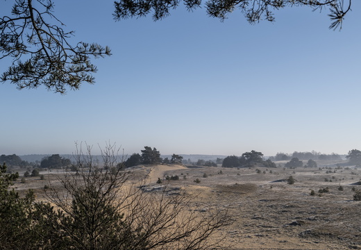 20250201-Kootwijkerzand-130