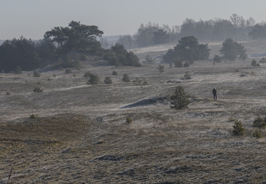20250201-Kootwijkerzand-131