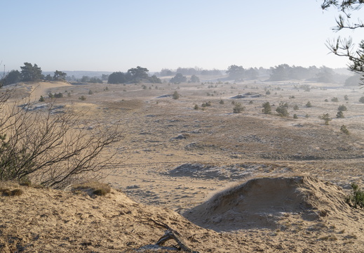 20250201-Kootwijkerzand-135