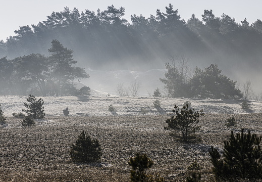 20250201-Kootwijkerzand-138