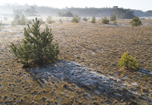 20250201-Kootwijkerzand-142