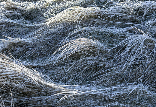 20250201-Kootwijkerzand-146