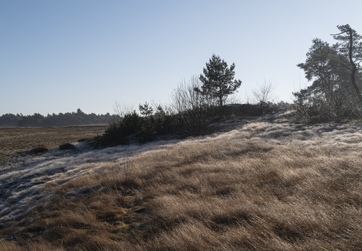 20250201-Kootwijkerzand-147