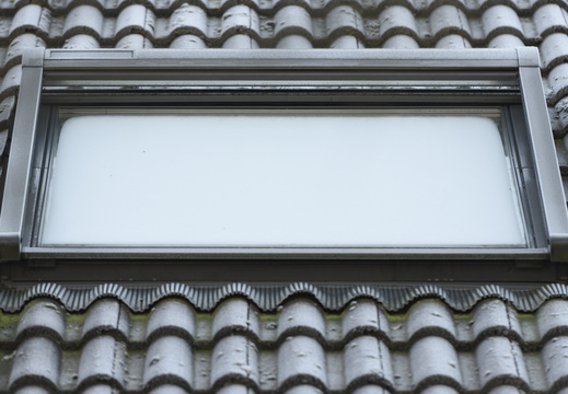 20250202-Loenen-101