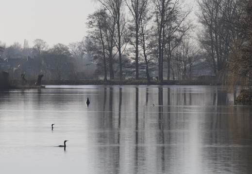 20250202-Loenen-110