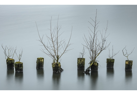 20250208-Vecht-102