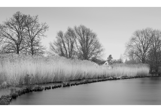 20250208-Vecht-104