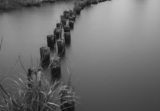 20250208-Vecht-106