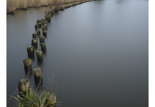 20250208-Vecht-107