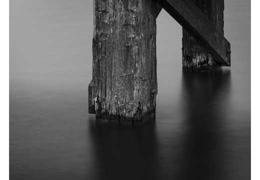 20250208-Vecht-124