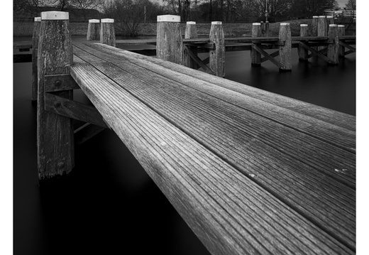 20250208-Vecht-129