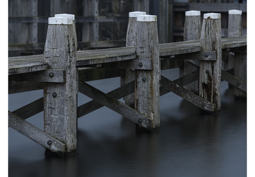 20250208-Vecht-131