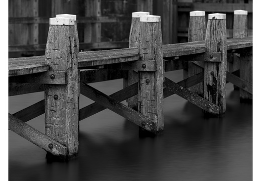 20250208-Vecht-132