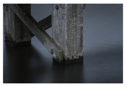 20250208-Vecht-133